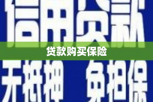 维西贷款购买保险