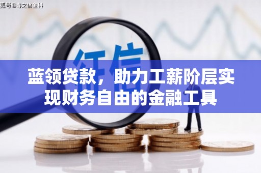 维西蓝领贷款，助力工薪阶层实现财务自由的金融工具