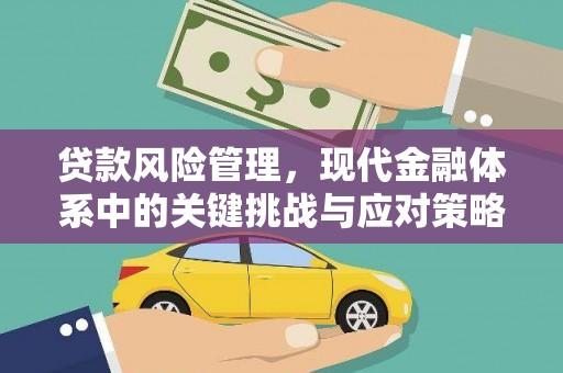 维西贷款风险管理，现代金融体系中的关键挑战与应对策略