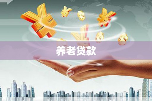 维西养老贷款