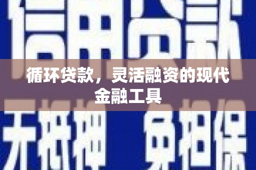 维西循环贷款，灵活融资的现代金融工具