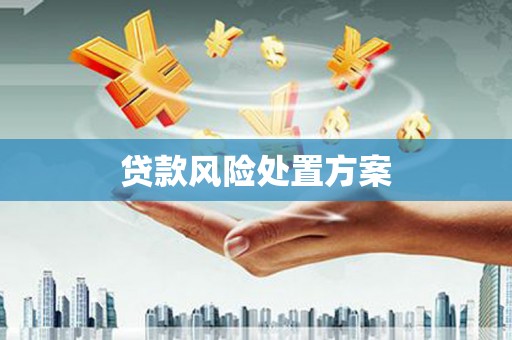 维西贷款风险处置方案