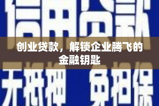 维西创业贷款，解锁企业腾飞的金融钥匙