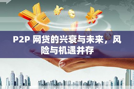 维西P2P 网贷的兴衰与未来，风险与机遇并存