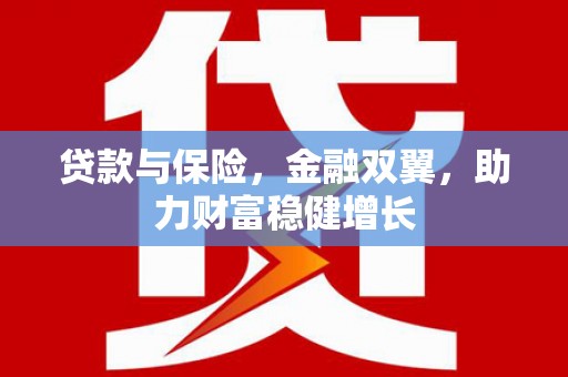 维西贷款与保险，金融双翼，助力财富稳健增长