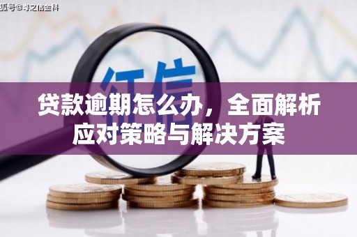 维西贷款逾期怎么办，全面解析应对策略与解决方案