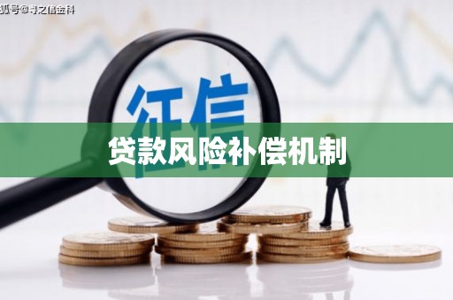 维西贷款风险补偿机制