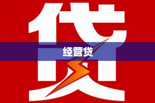 维西经营贷
