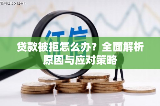 维西贷款被拒怎么办？全面解析原因与应对策略