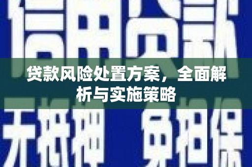 维西贷款风险处置方案，全面解析与实施策略