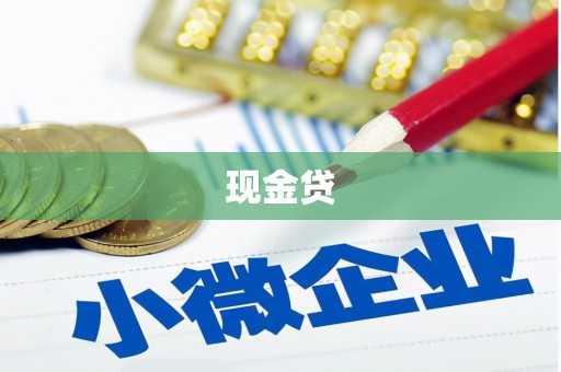 维西现金贷