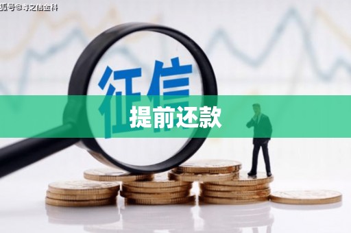 维西提前还款