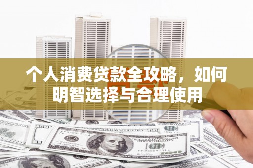 维西个人消费贷款全攻略，如何明智选择与合理使用