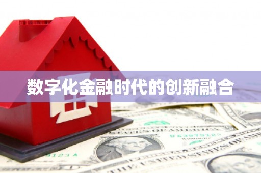 维西数字化金融时代的创新融合