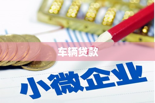 维西车辆贷款
