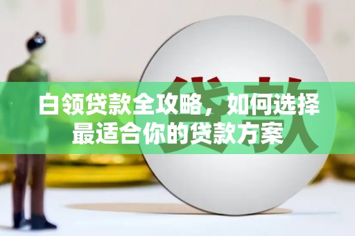 维西白领贷款全攻略，如何选择最适合你的贷款方案