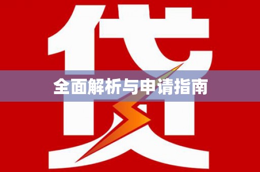 维西全面解析与申请指南