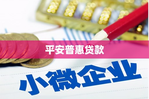 维西平安普惠贷款