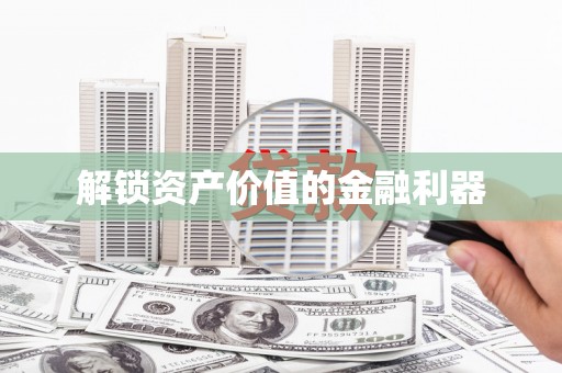 维西解锁资产价值的金融利器