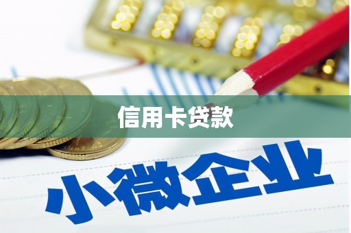 维西信用卡贷款