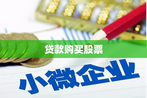 维西贷款购买股票