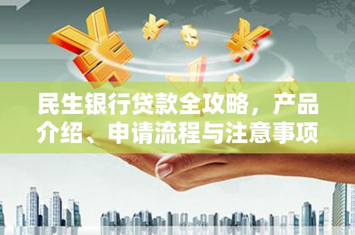 维西民生银行贷款全攻略，产品介绍、申请流程与注意事项